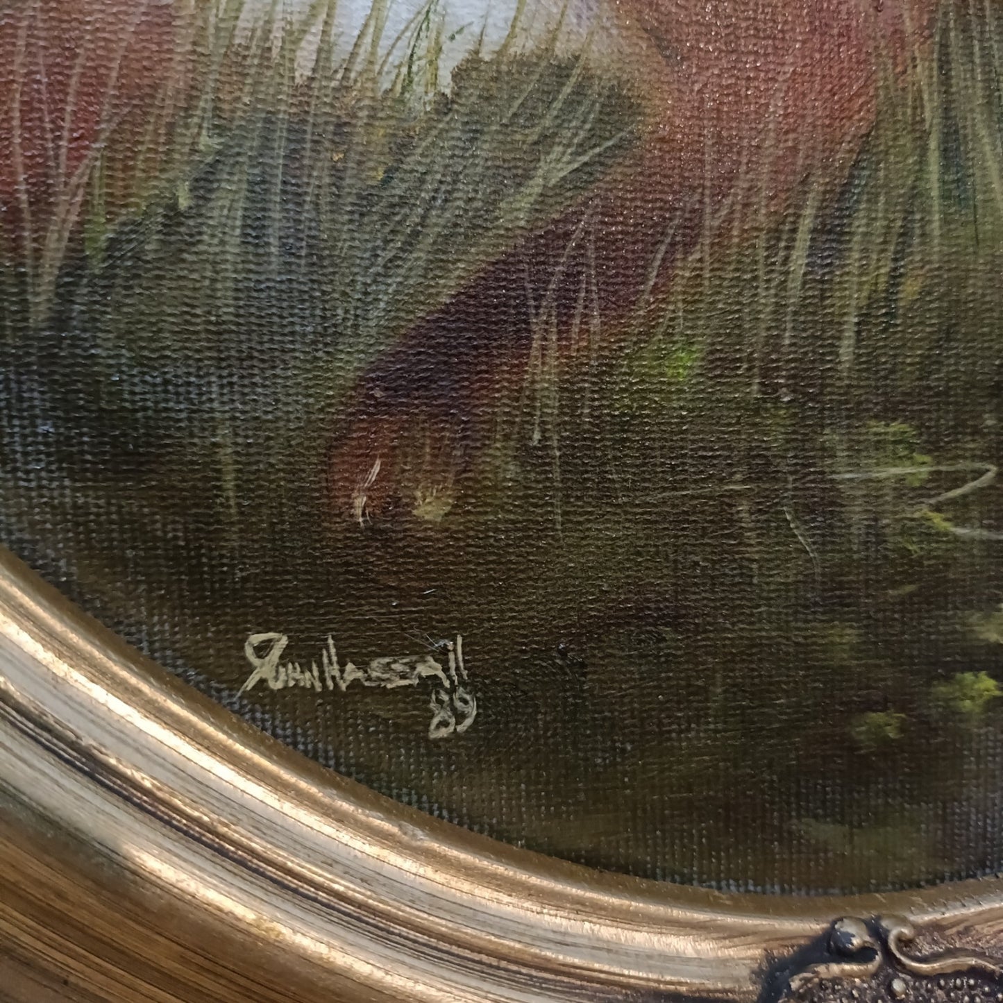 JOHN HASSALL (1944-2020) Original Oval Animal Oil Paintings