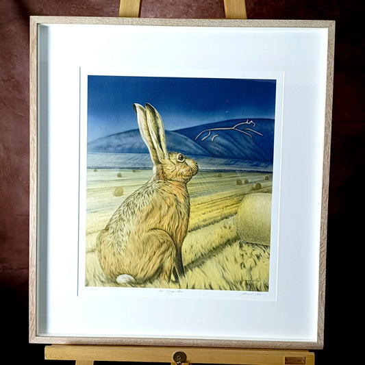 JOANNA MAY Signed Limited Edition "Star gazing Hare" 23/250