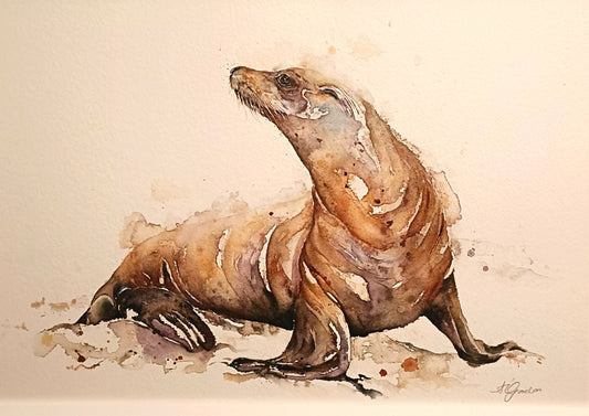 AMANDA GORDON Original Watercolour Painting "Resting Sealion on land"