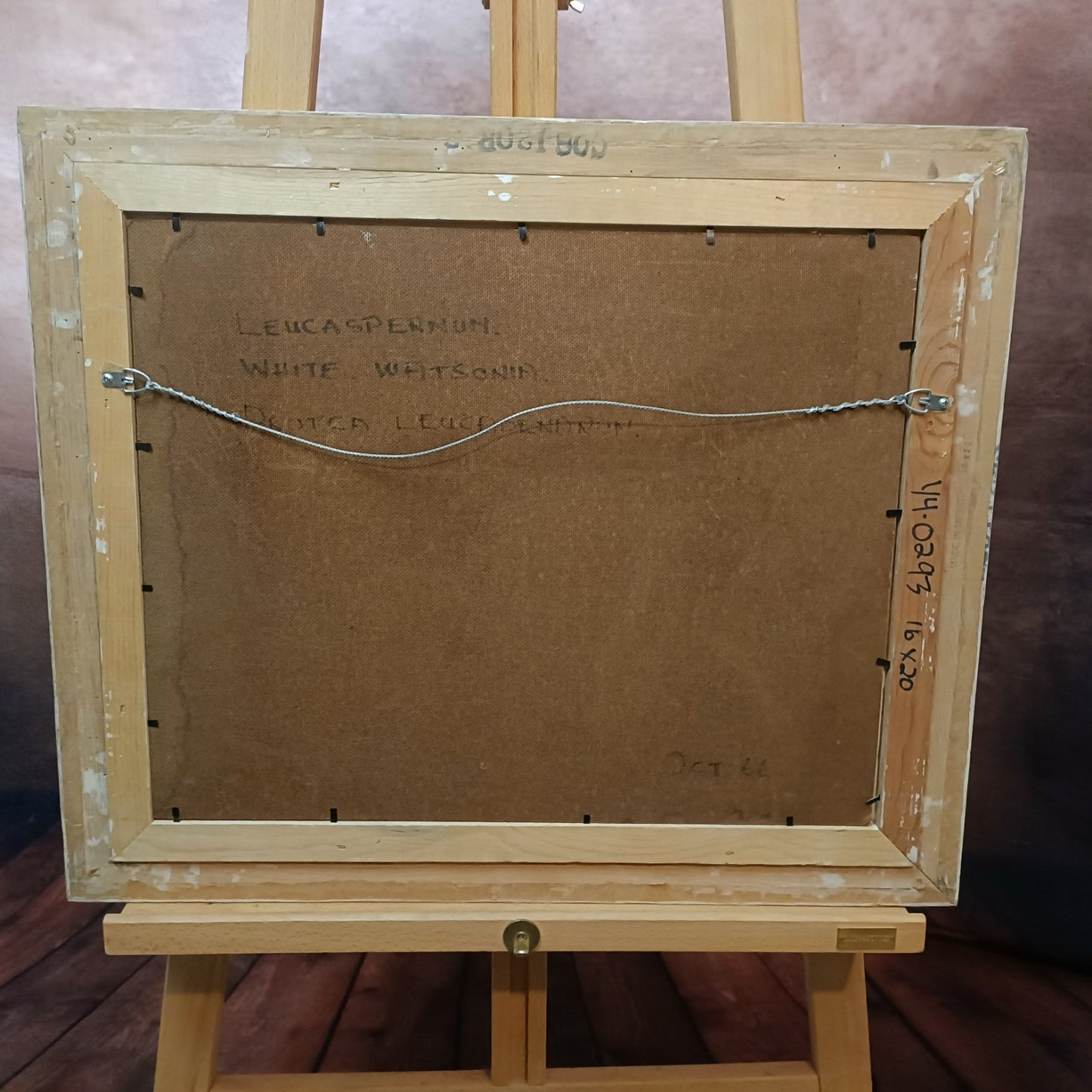 JOHN ROSS ROBERTS Framed Original Oil Painting "Protea"