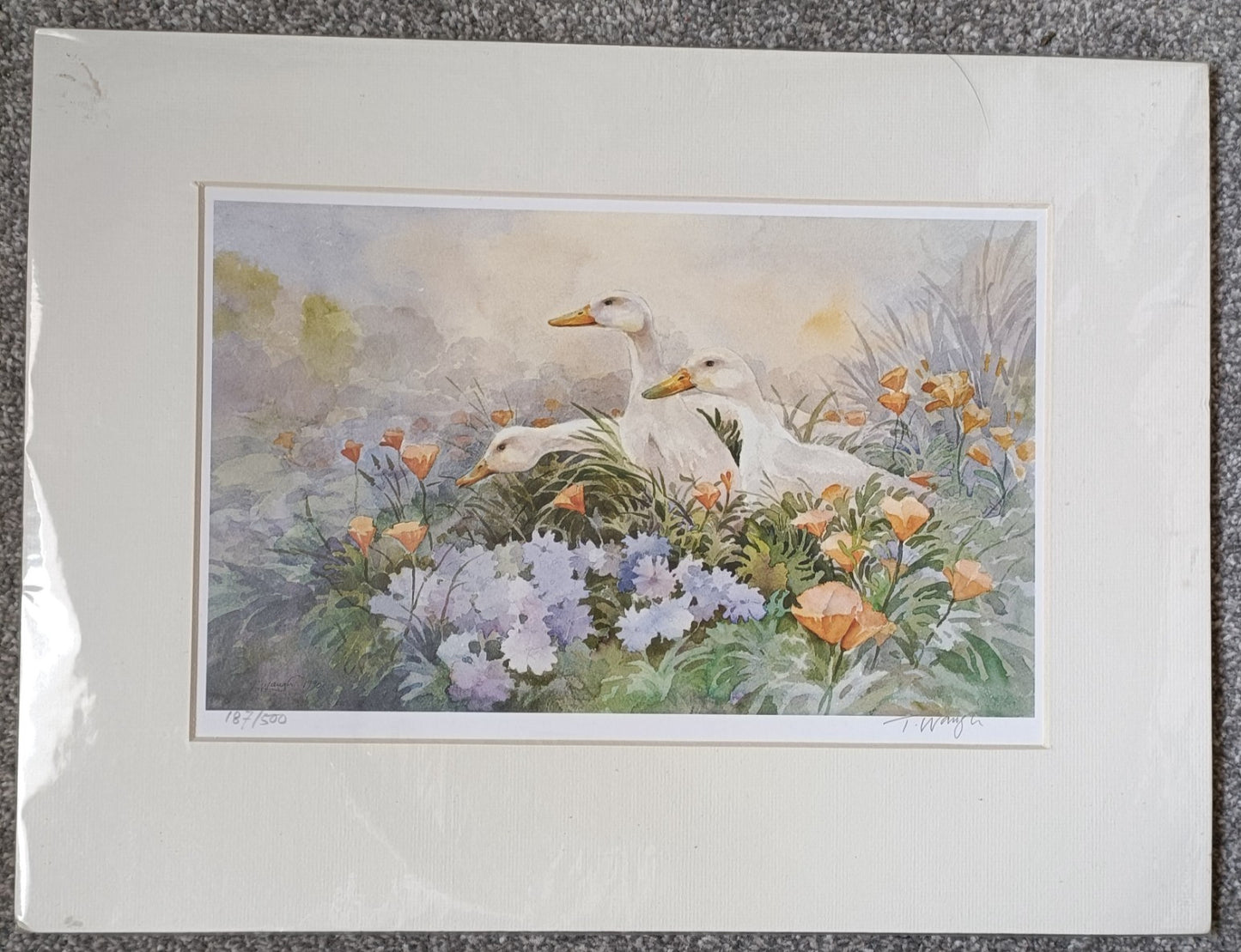 Trevor Waugh Watercolour Ducks, Limited Edition Prints, Lot of 2 Pictures