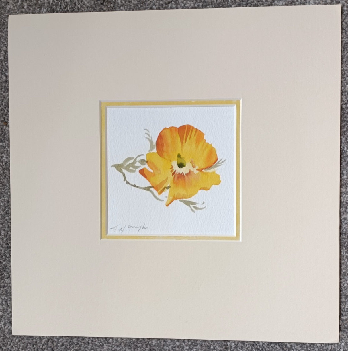 Trevor Waugh Watercolour painting, Welsh Poppy, Original