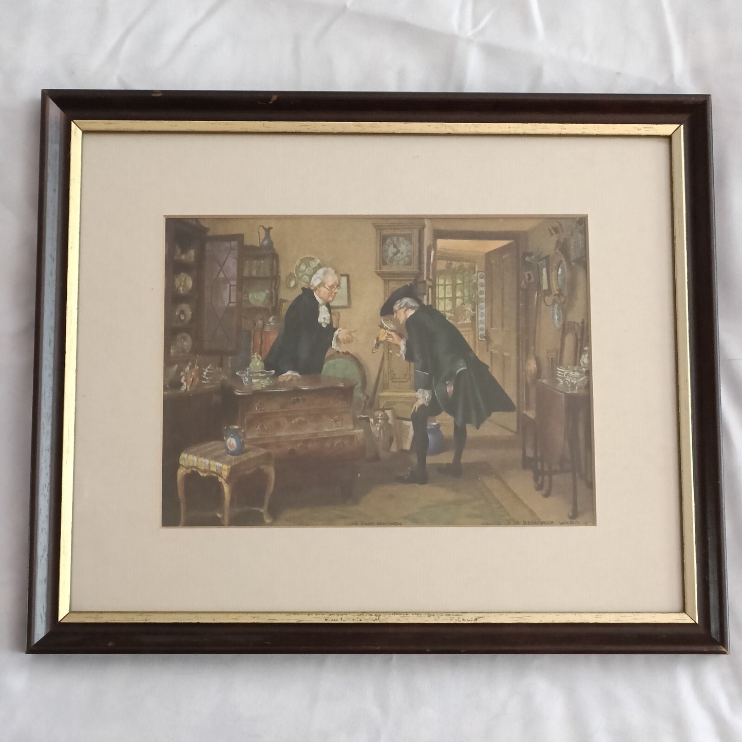 Vintage V. De Beauvoir Ward print, Framed "A Rare Specimen"