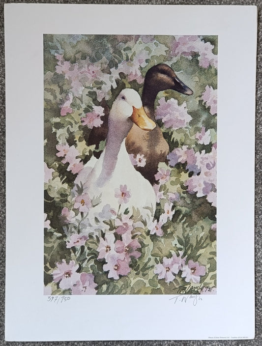Trevor Waugh Watercolour Ducks, Limited Edition Prints, Lot of 2 Pictures