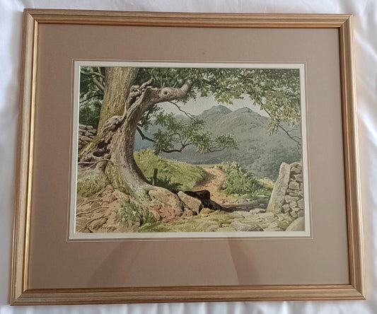 GEOFFREY HERBERT POOLEY Original Watercolour Painting "Path to Nab Scar Rydal"