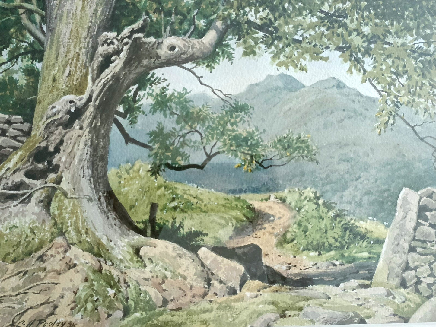 GEOFFREY HERBERT POOLEY Original Watercolour Painting "Path to Nab Scar Rydal"