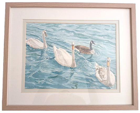 DAVID BLACKBURN Original Watercolour Painting "Swans on the Thames at Henley"