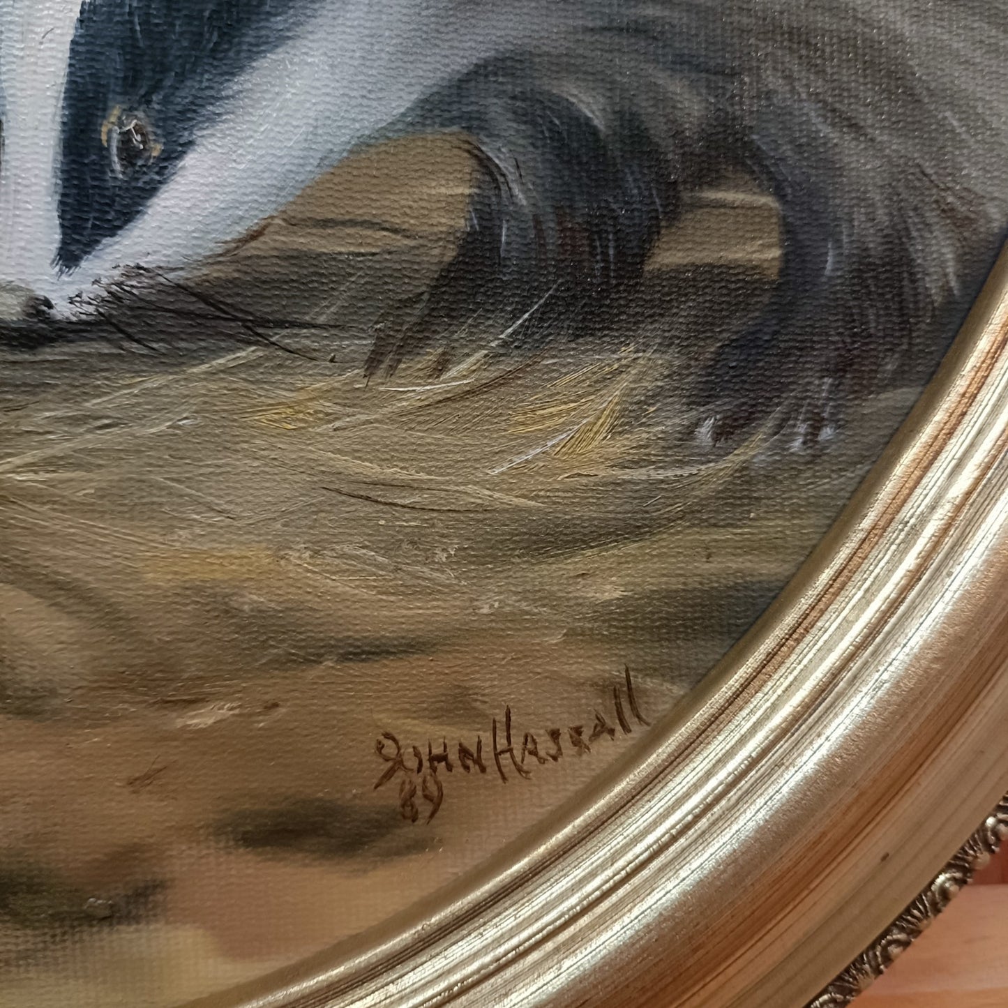 JOHN HASSALL (1944-2020) Original Oval Animal Oil Paintings