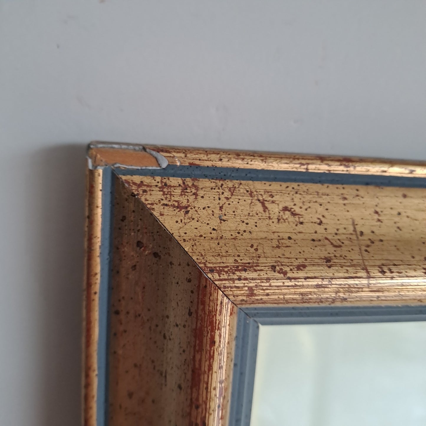 6 X Natural History Museum Limited Print :The Fairest Flowers of Pierre Redoute