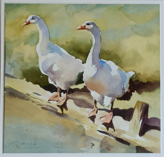 Trevor Waugh Watercolour Painting, Emden Geese