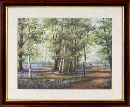PATRICIA FORREST Original Watercolour "Deer in Bluebell wood"