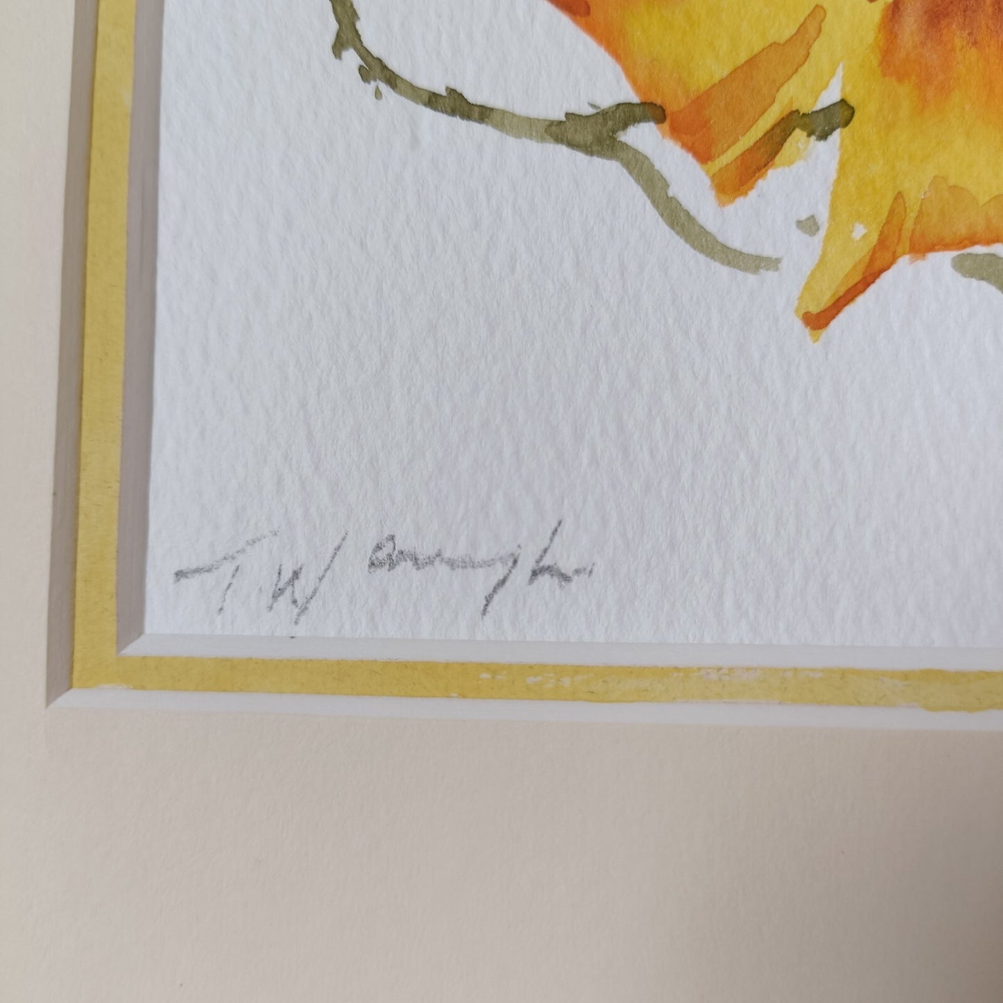Trevor Waugh Watercolour painting, Welsh Poppy, Original