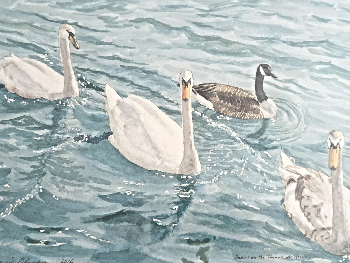 DAVID BLACKBURN Original Watercolour Painting "Swans on the Thames at Henley" - Curated Treasures