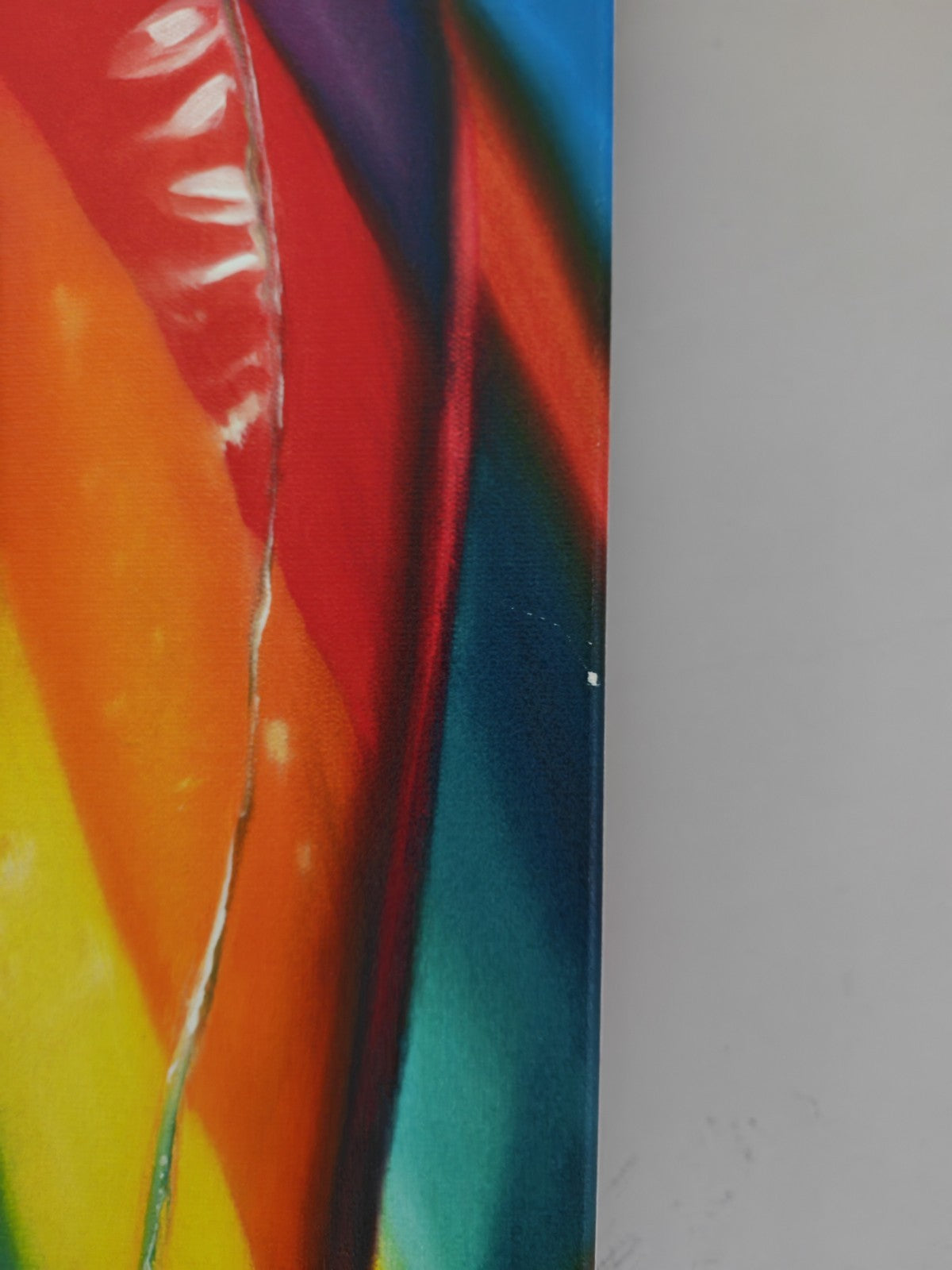 SARAH GRAHAM Signed Limited Edition Canvas "Candy Canes" 63/95