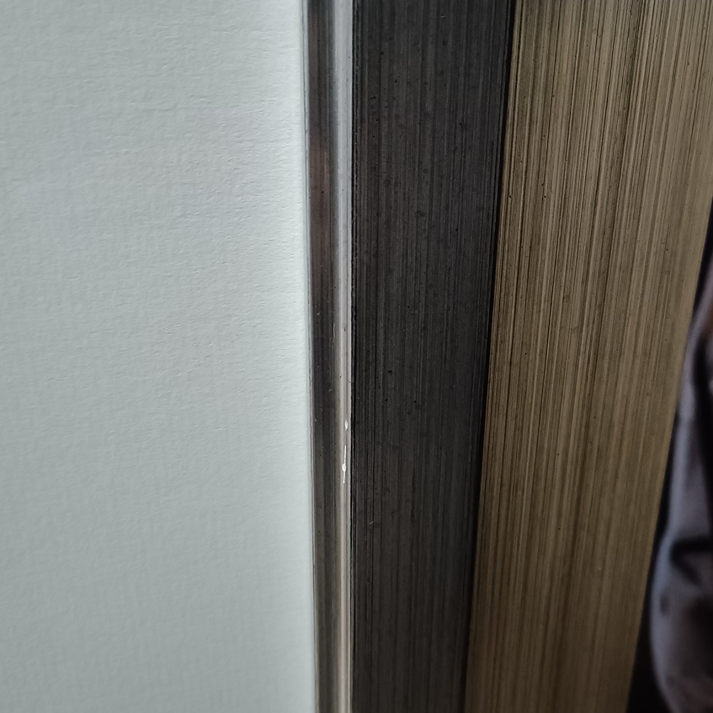 PAUL JAMES Large Framed Signed Limited Edition Print "Adrian" 190/195