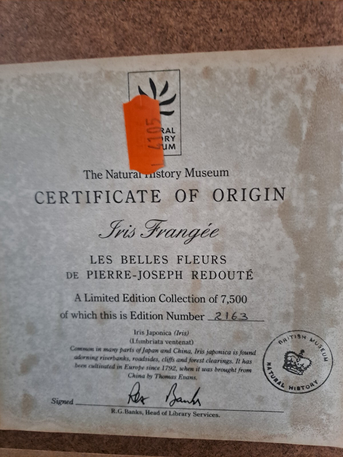 6 X Natural History Museum  Limited Print :The Fairest Flowers of Pierre Redoute