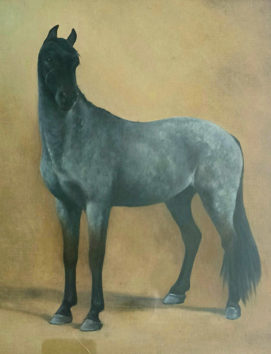 MAUD TURNER 1945 Original Oil on board Study of a Grey Horse