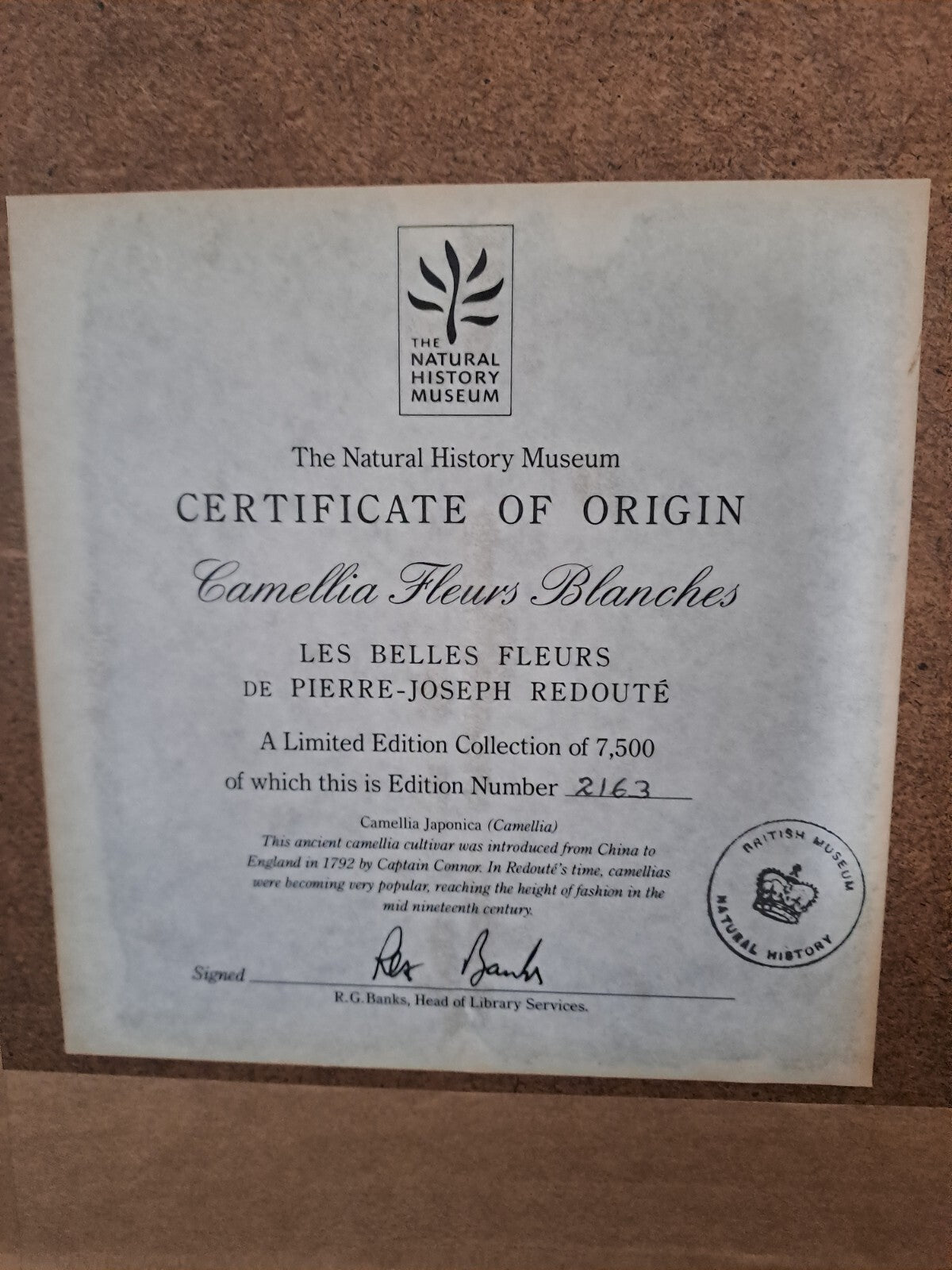 6 X Natural History Museum  Limited Print :The Fairest Flowers of Pierre Redoute