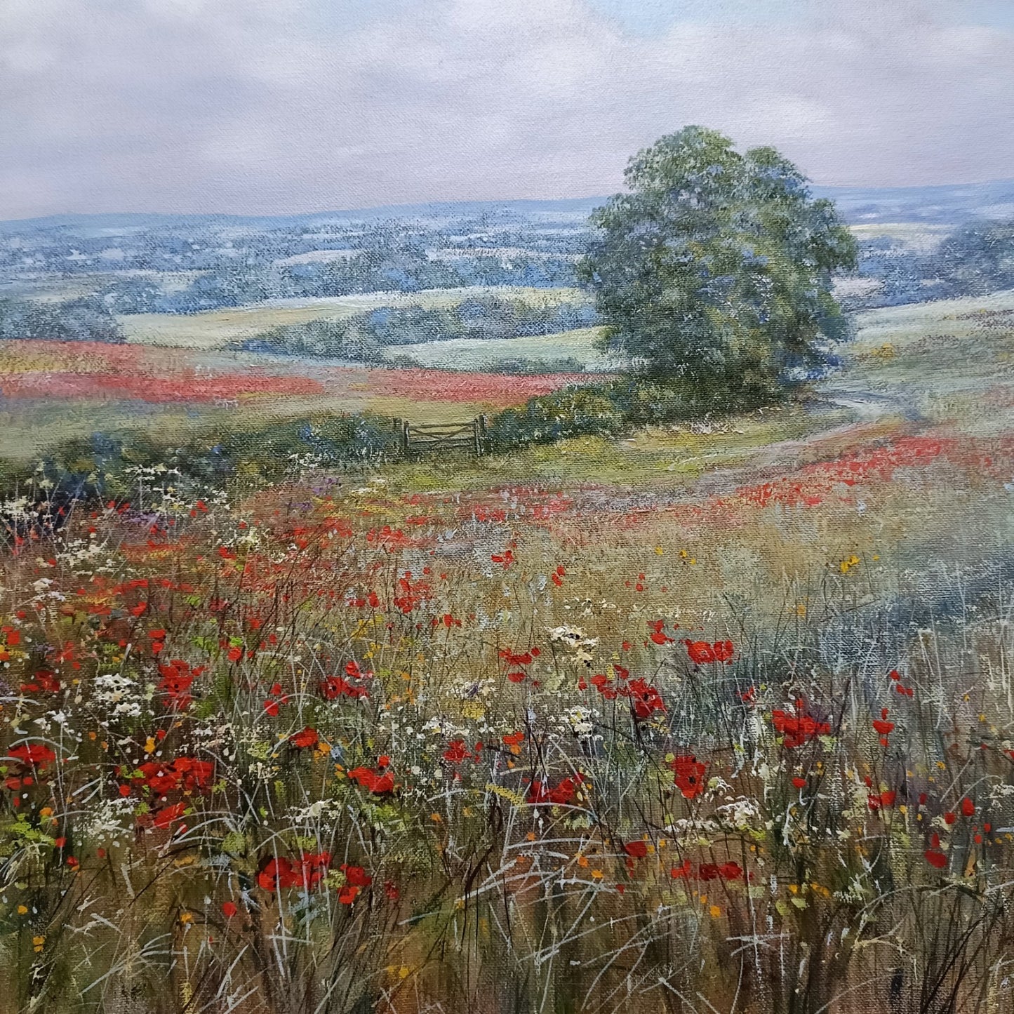 DEBORAH POYNTON Large Signed Framed Original Oil Painting - Poppy Fields