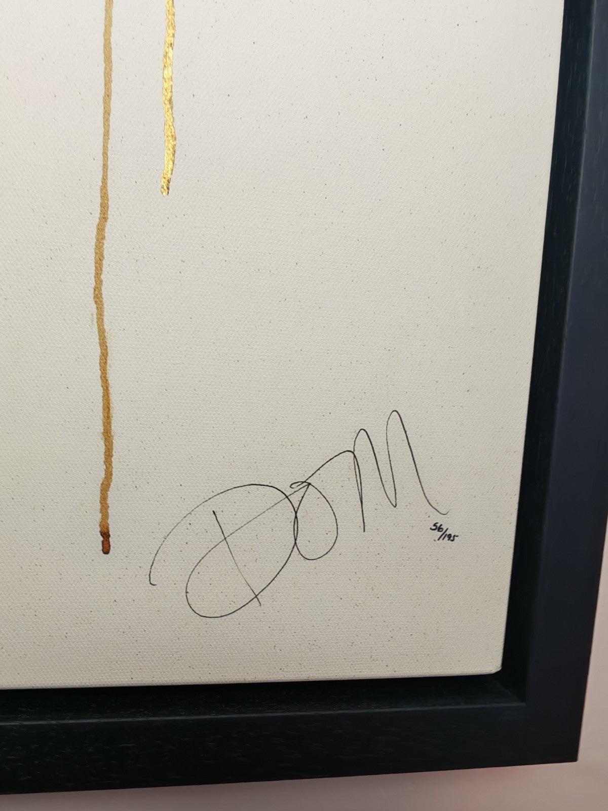 DOM PATTINSON Signed Framed Limited Edition Box Canvas “Liber‑tea” 56/195