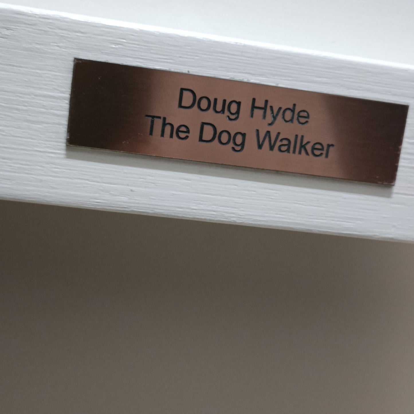 Limited edition framed print by Doug Hyde titled "The Dog Walker," number 265 of 295, featuring detailed artwork of a dog walker.