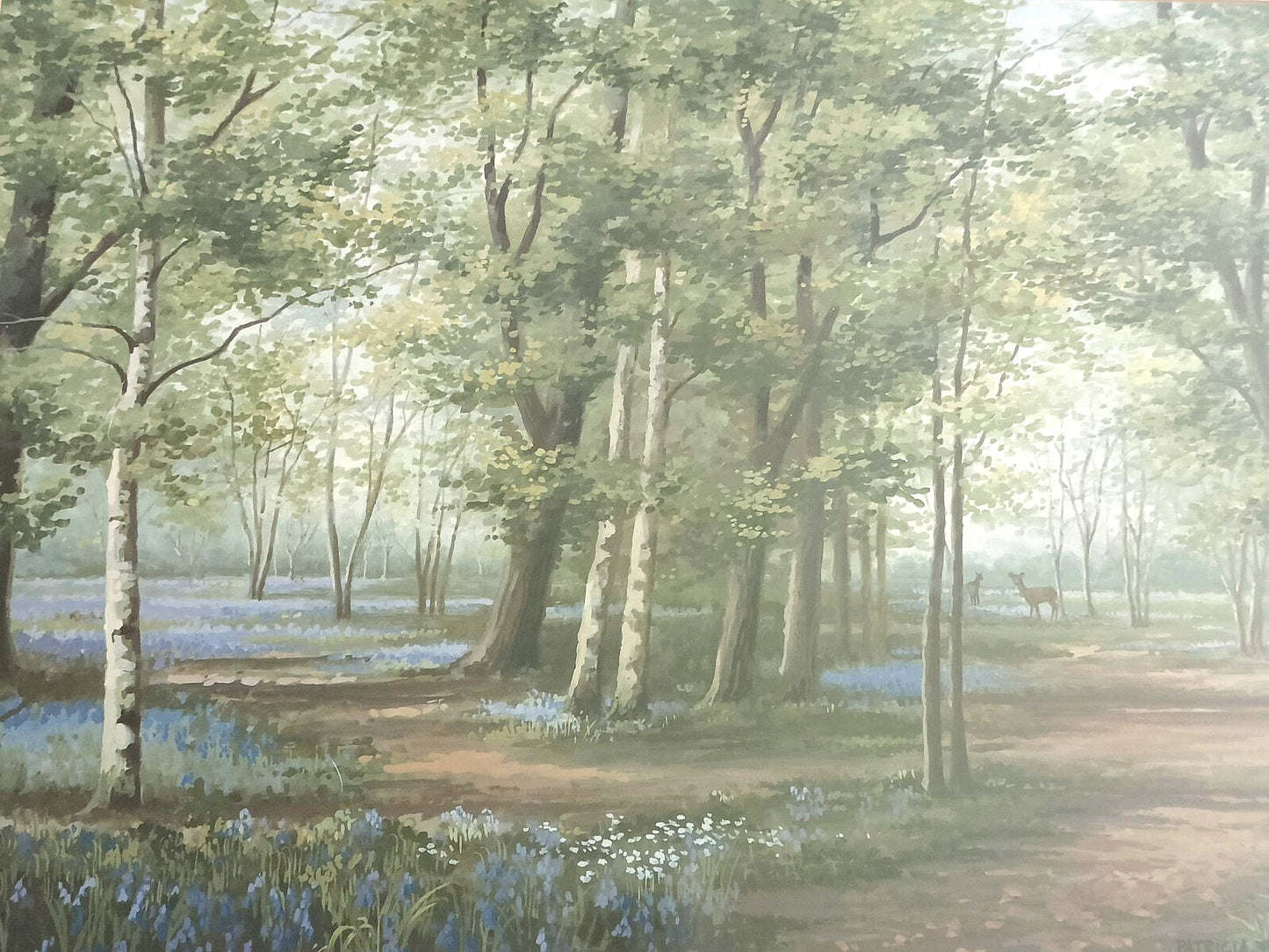 PATRICIA FORREST Original Watercolour "Deer in Bluebell wood"