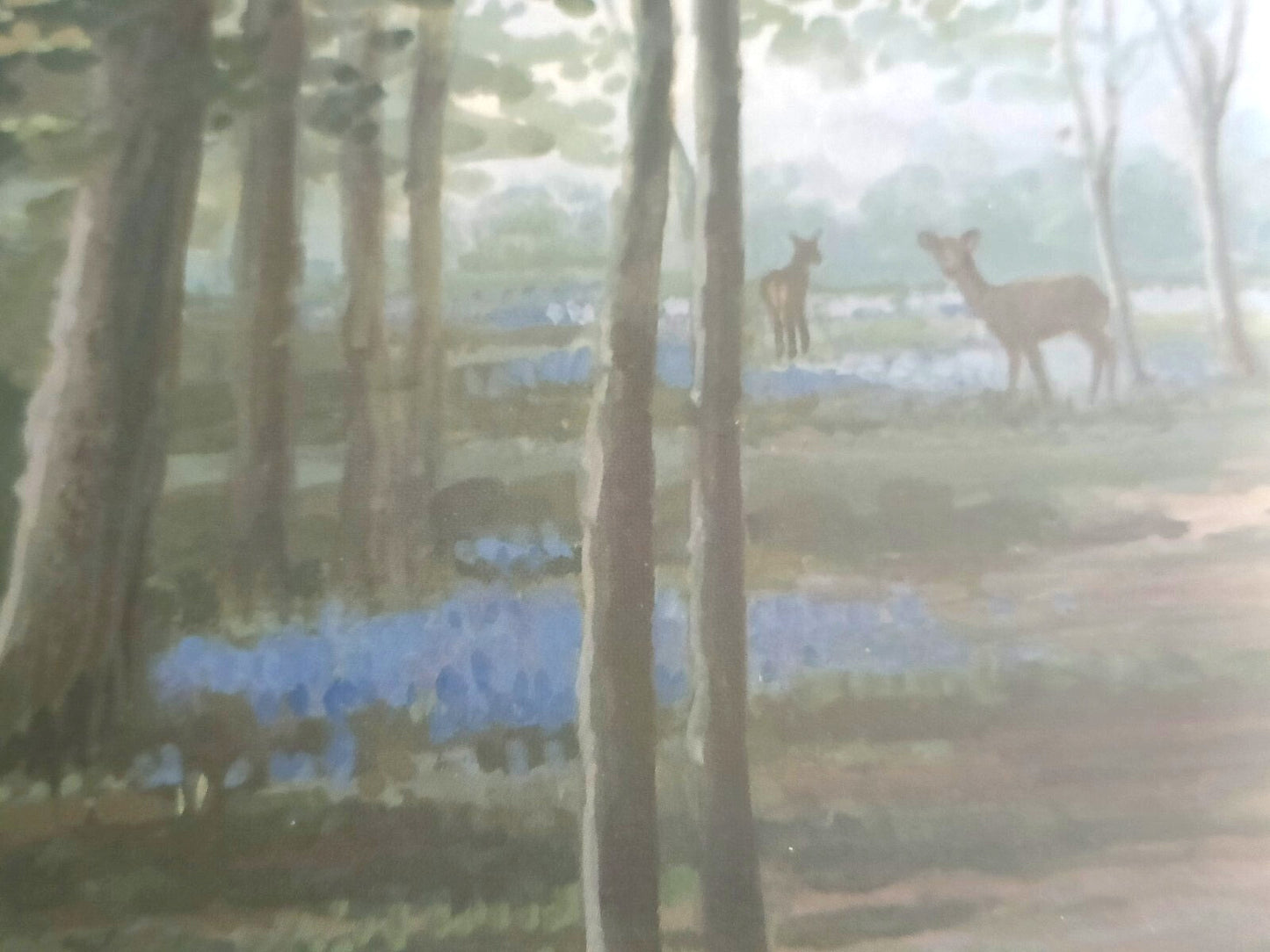 PATRICIA FORREST Original Watercolour "Deer in Bluebell wood"