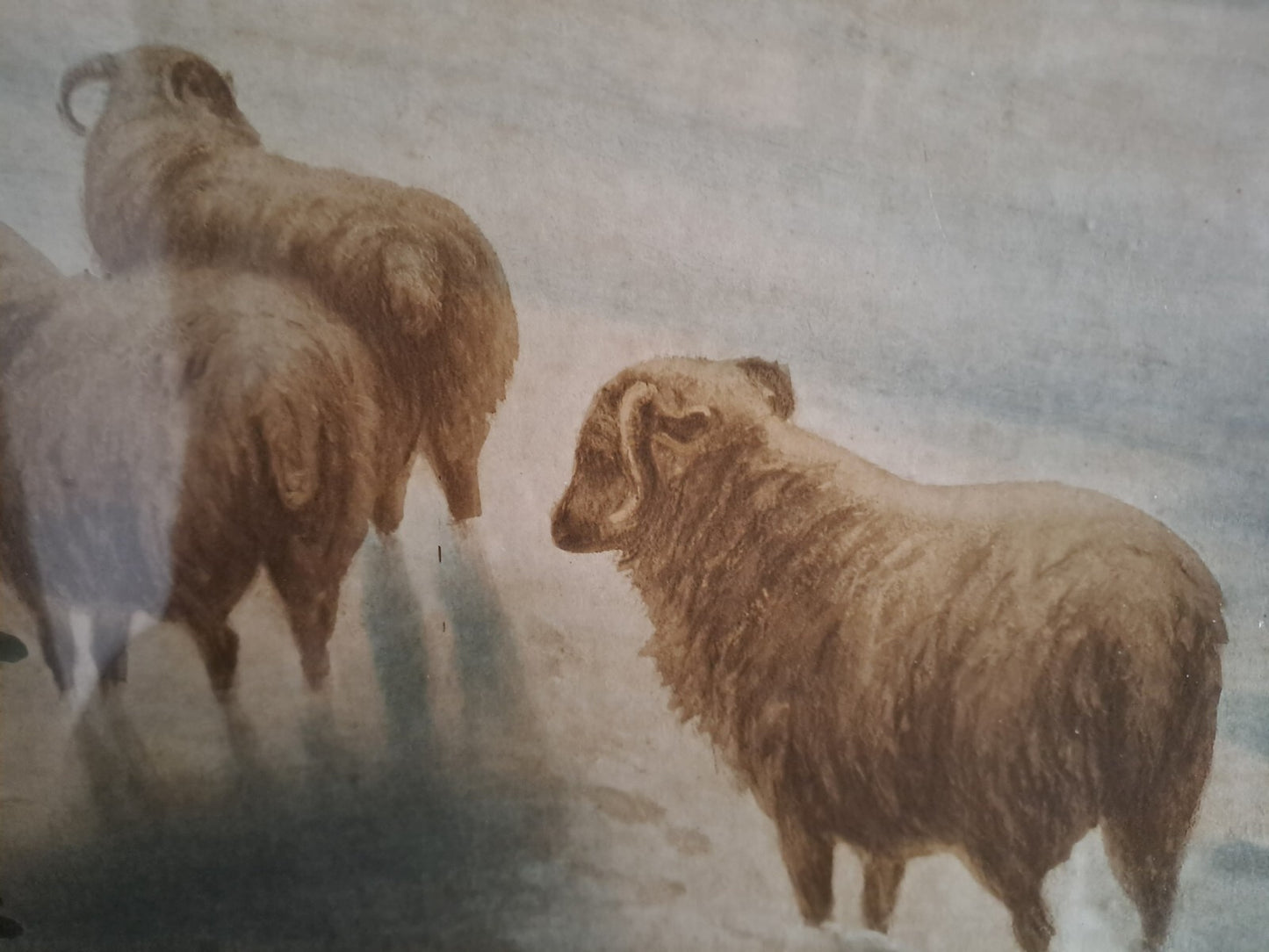 A Pair of Vintage/Antique Pictures Featuring Sheep in Snowy Landscapes