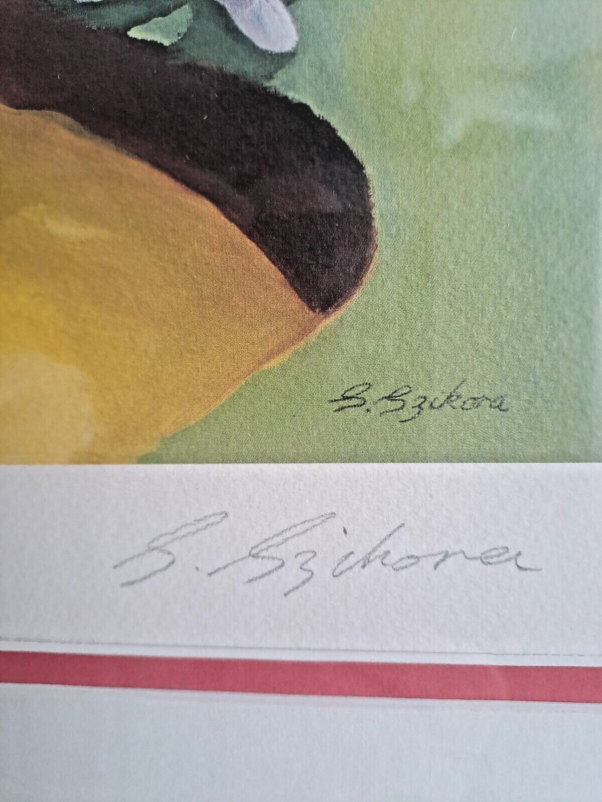 SARAH JANE SZIKORA -  Limited Edition Print Signed 706/750 "Bunker Chunker"