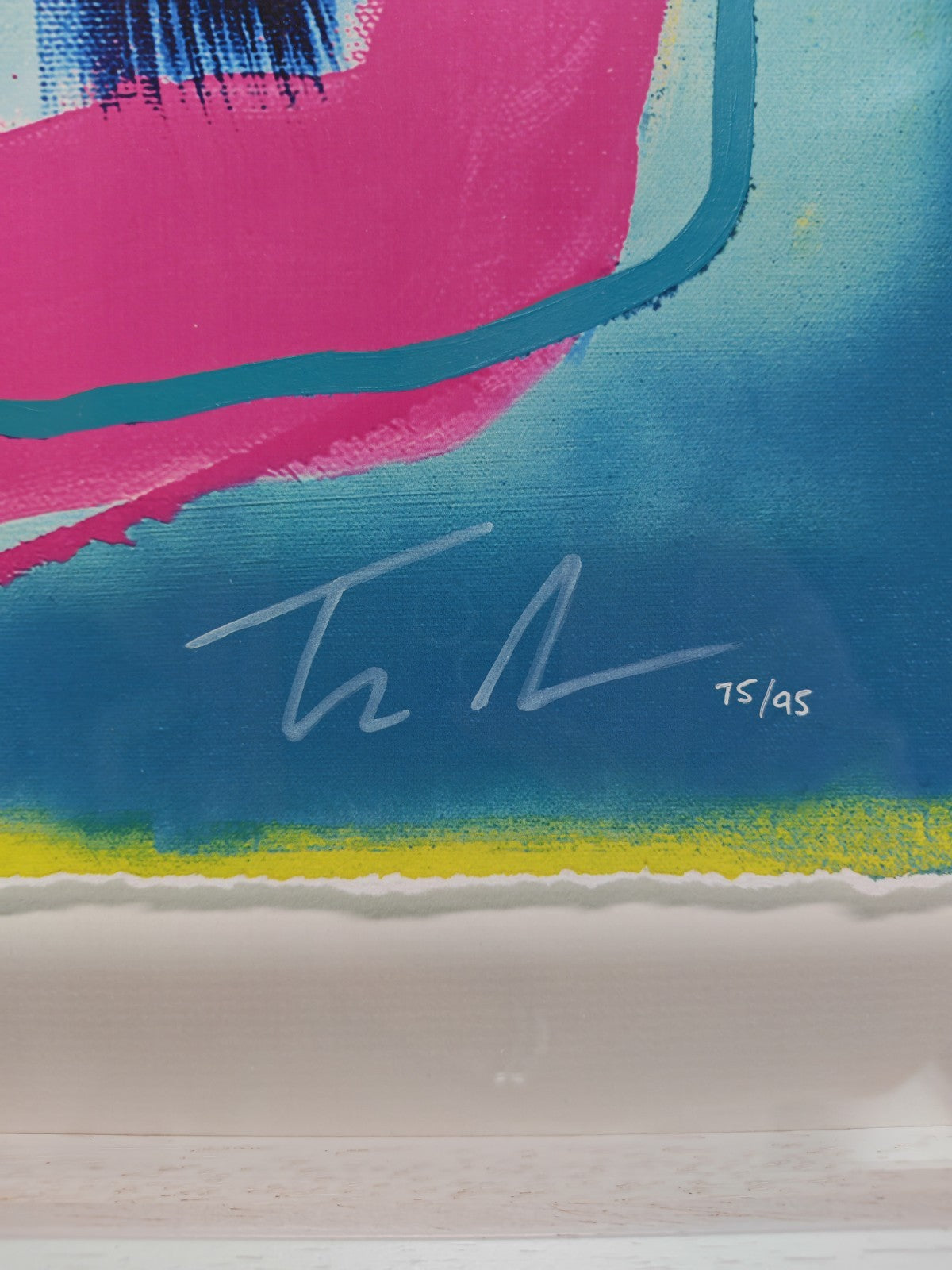TIM FOWLER "Dreamscape" Signed Framed Limited Edition Print 75/95