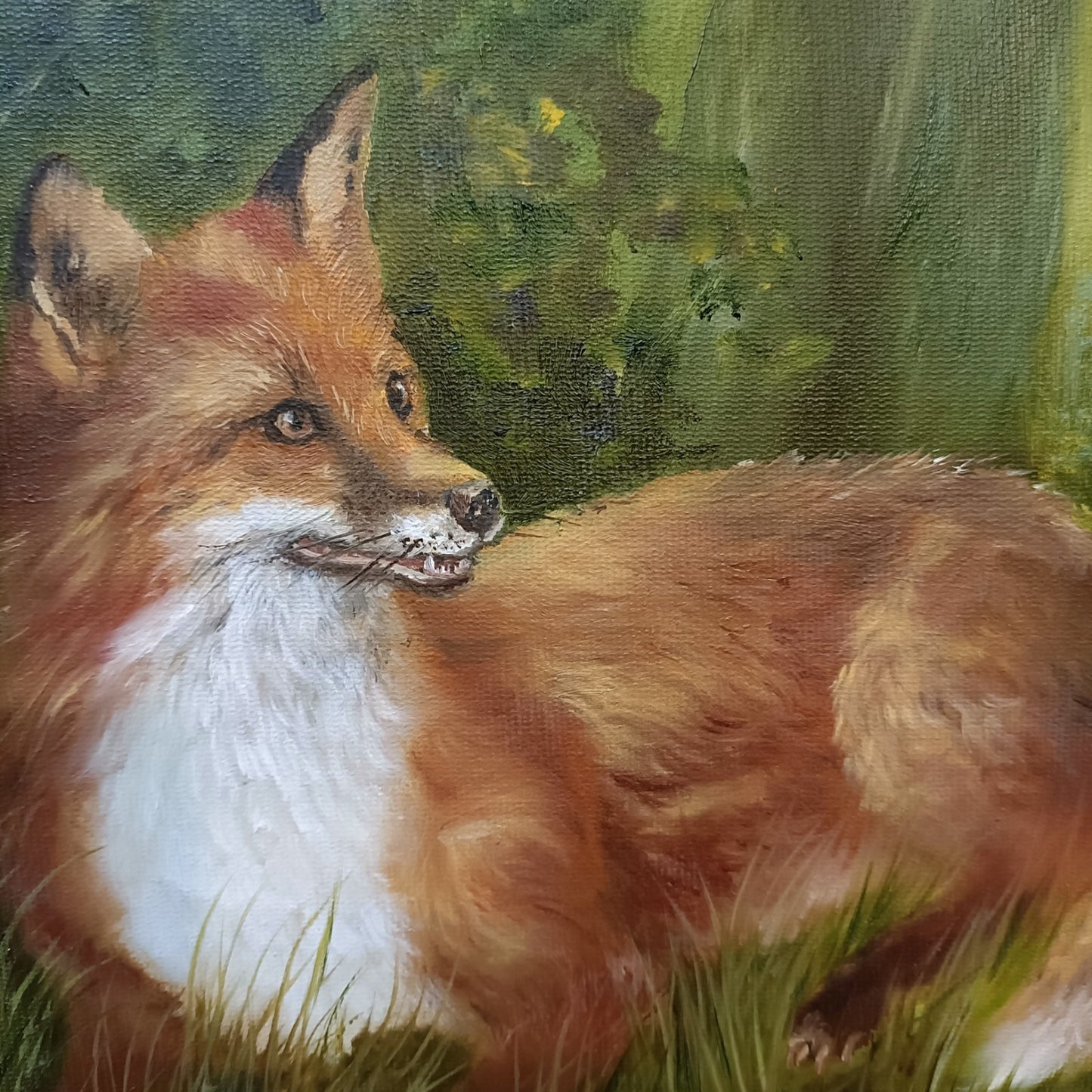 JOHN HASSALL (1944-2020) Original Oval Animal Oil Paintings