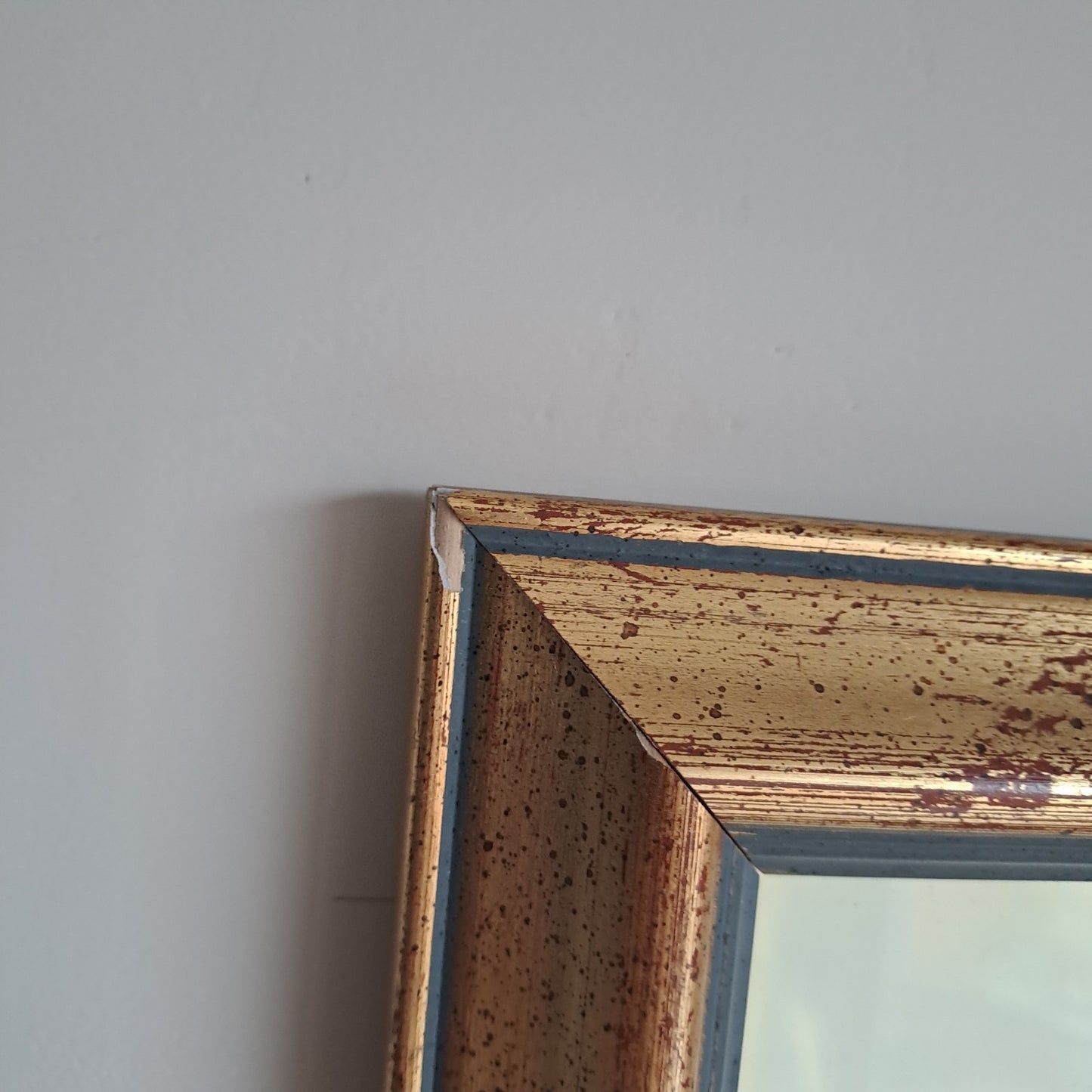 6 X Natural History Museum  Limited Print :The Fairest Flowers of Pierre Redoute