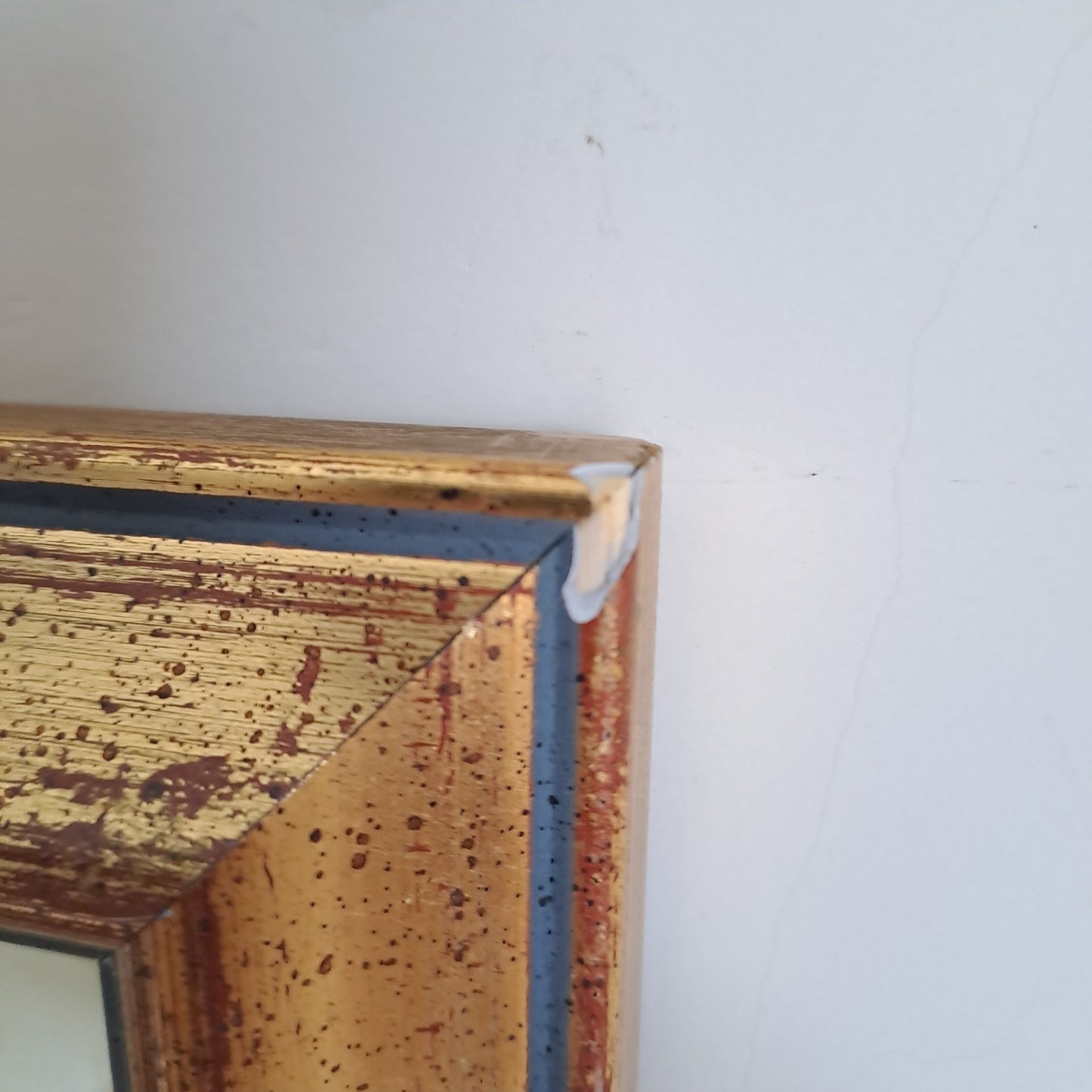 6 X Natural History Museum  Limited Print :The Fairest Flowers of Pierre Redoute