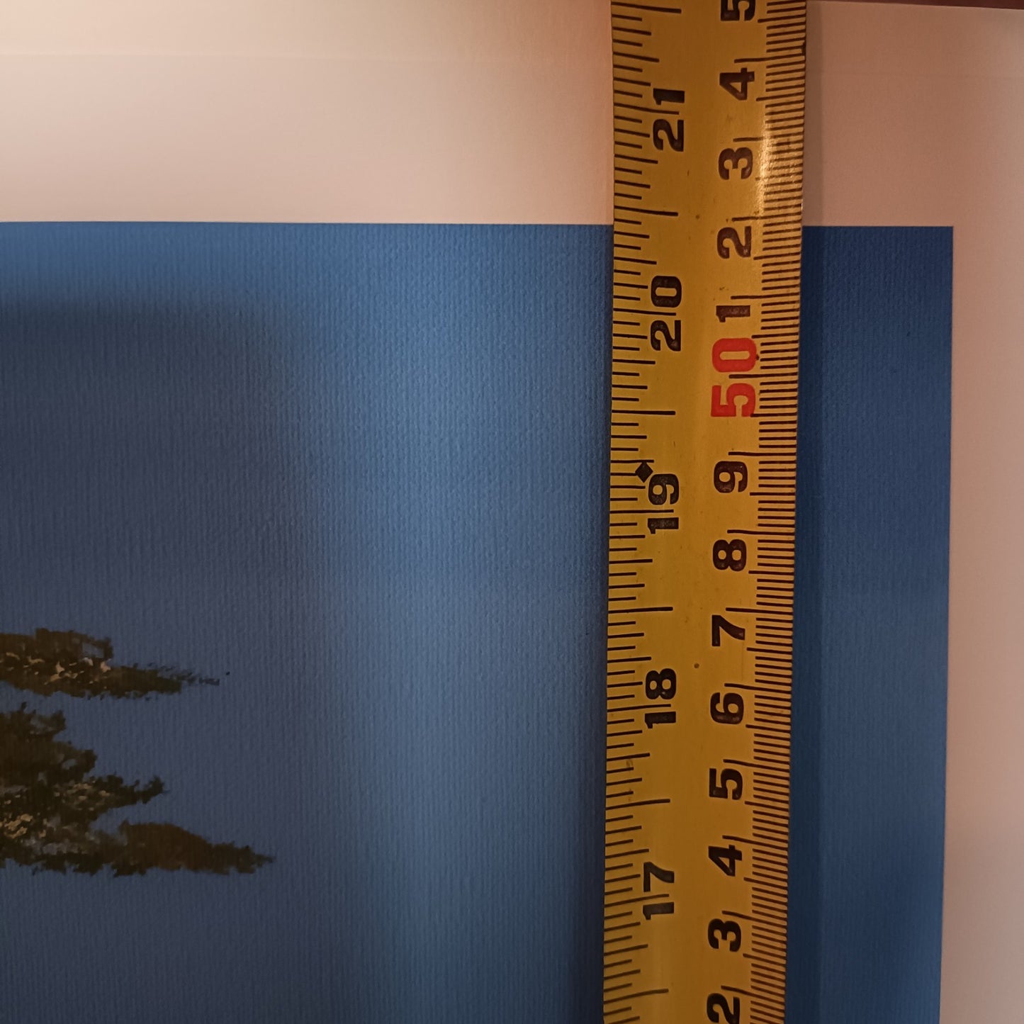 Signed Limited Edition Print "Giraffe"