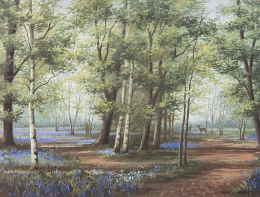 PATRICIA FORREST Original Watercolour "Deer in Bluebell wood"