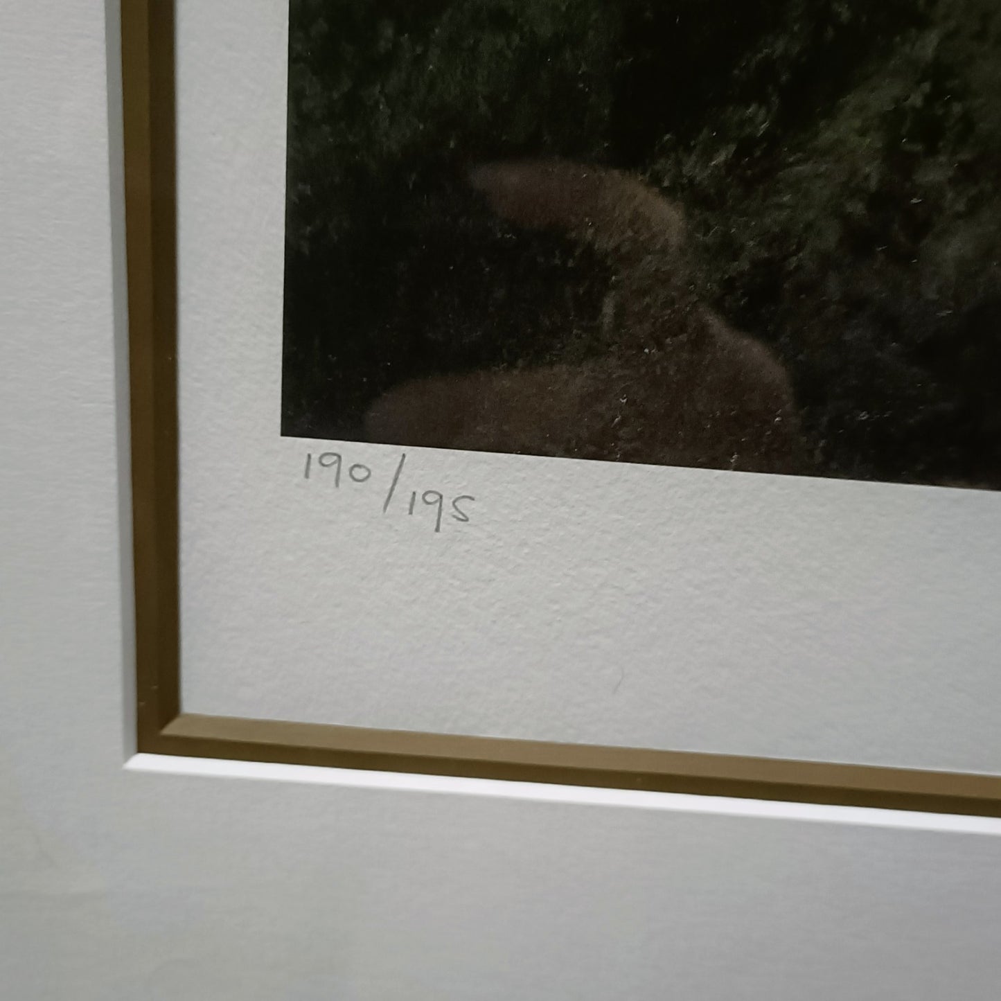 PAUL JAMES Large Framed Signed Limited Edition Print "Adrian" 190/195