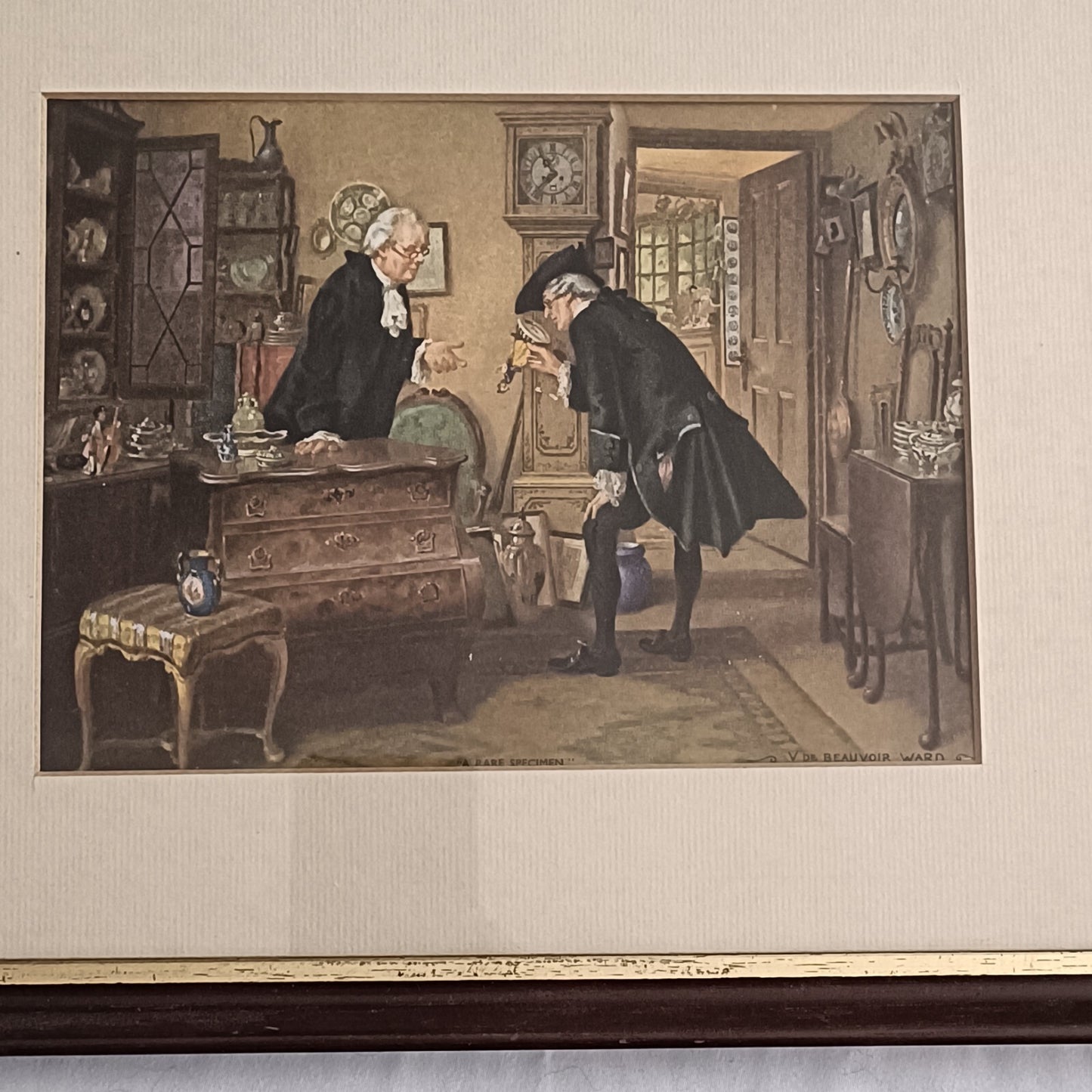 Vintage V. De Beauvoir Ward print, Framed "A Rare Specimen"