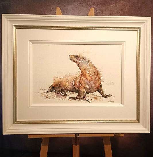AMANDA GORDON Original Watercolour Painting "Resting Sealion on land"