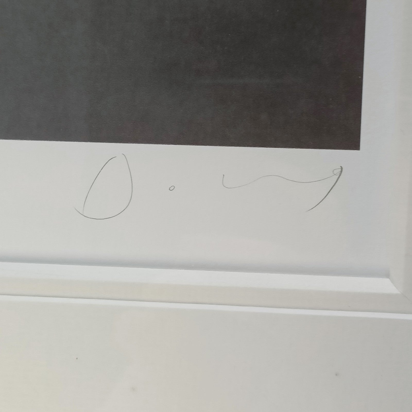 Rare framed signed limited edition print of Doug Hyde's "Sleep Walking," number 188 of 295, with visible signature and framing.