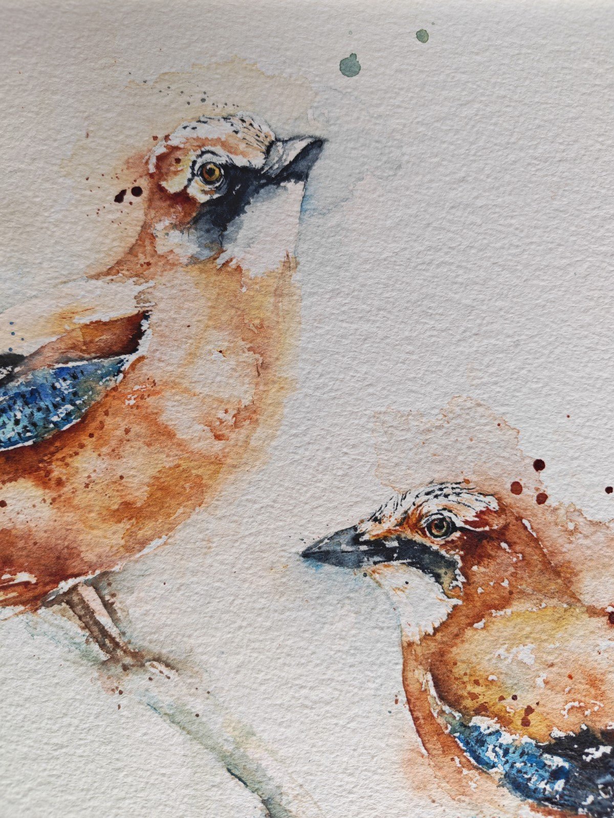 AMANDA GORDON "Jewels of the wood - Two Jays" Original Watercolour Painting