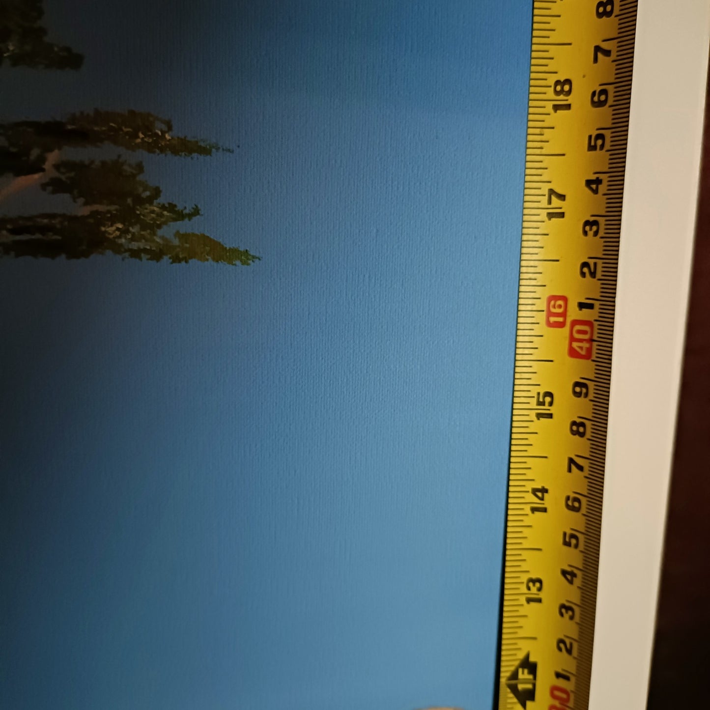 Signed Limited Edition Print "Giraffe"