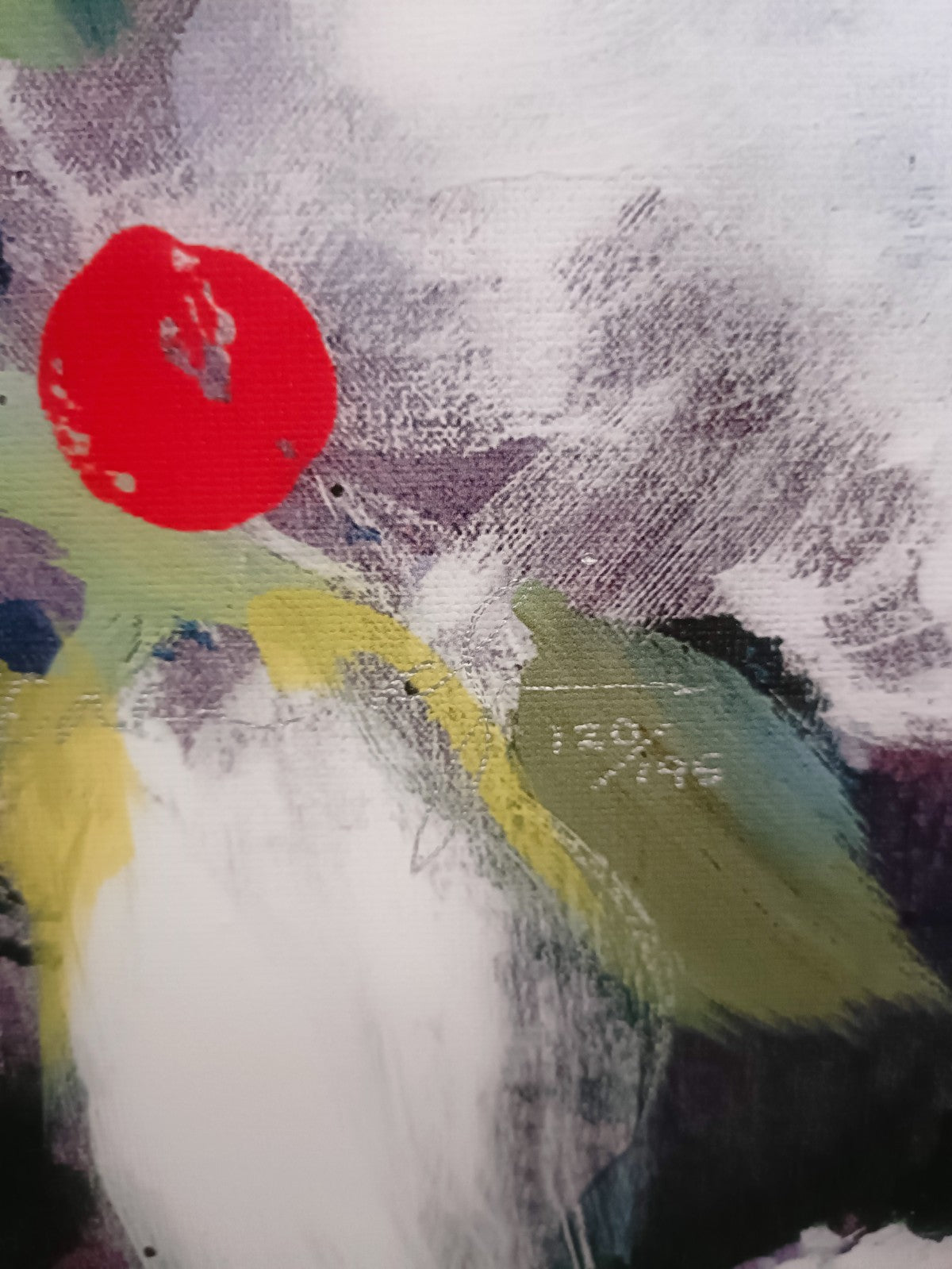 DANIELLE O'CONNOR AKIYAMA (b.1957 ) Framed Limited Edition Print "Posterity 2"