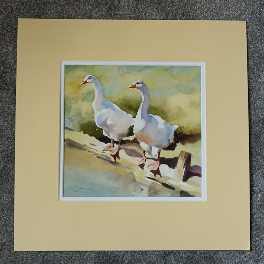 Trevor Waugh Watercolour Painting, Emden Geese