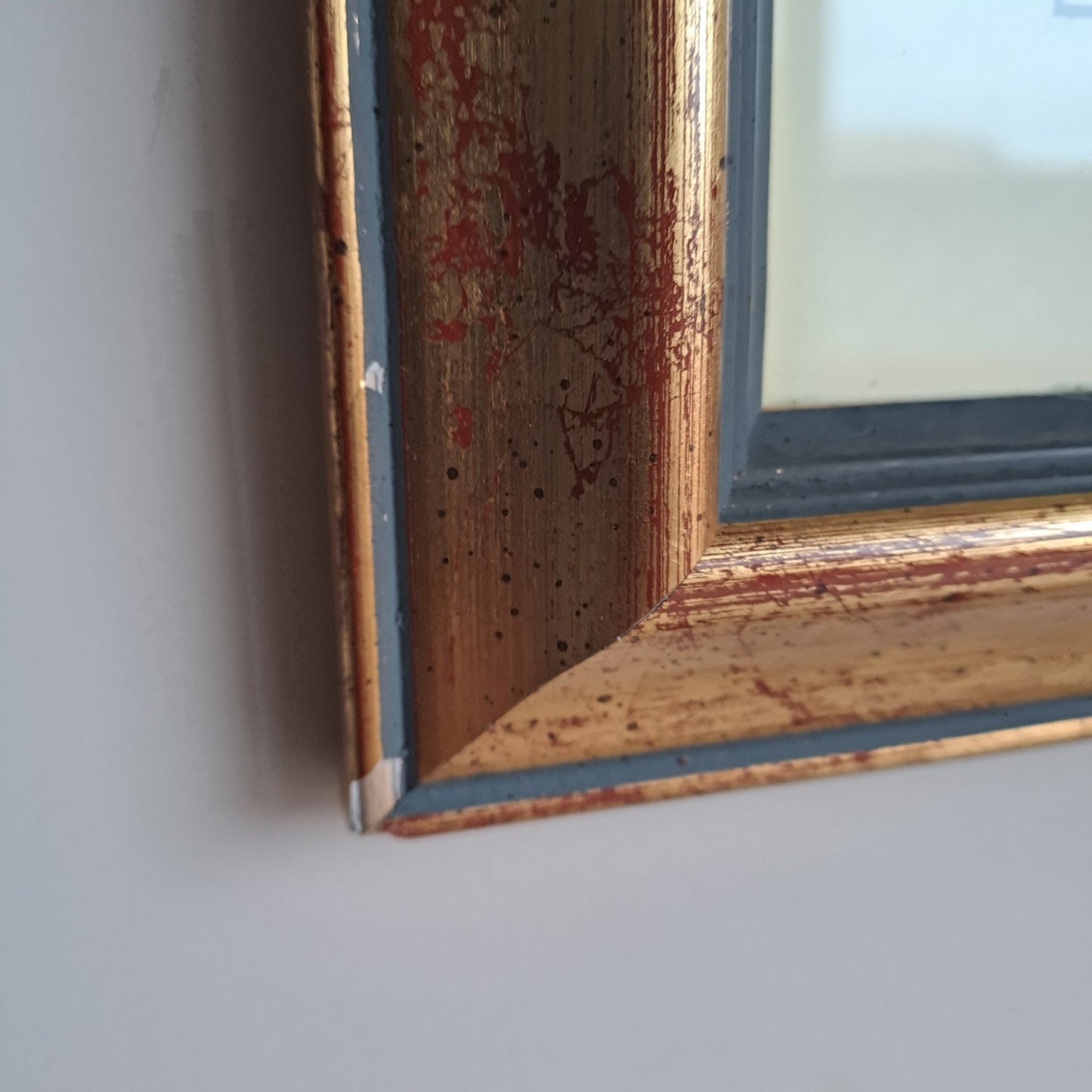 6 X Natural History Museum  Limited Print :The Fairest Flowers of Pierre Redoute