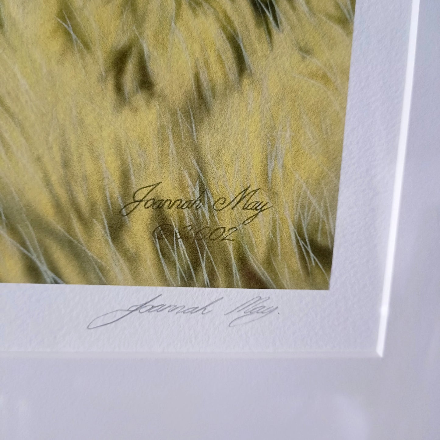 JOANNA MAY Signed Limited Edition "Star gazing Hare" 23/250