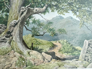 Descriptive image text