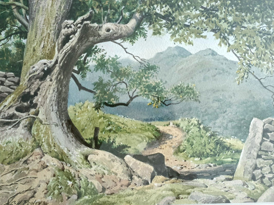 GEOFFREY HERBERT POOLEY Original Watercolour Painting "Path to Nab Scar Rydal"