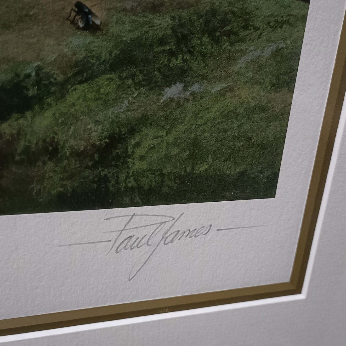 PAUL JAMES Large Framed Signed Limited Edition Print "Adrian" 190/195