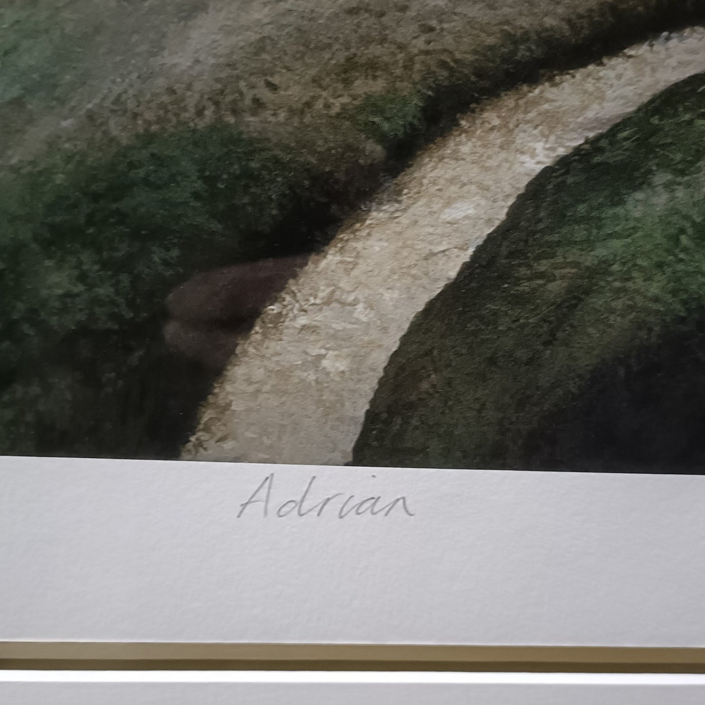 PAUL JAMES Large Framed Signed Limited Edition Print "Adrian" 190/195