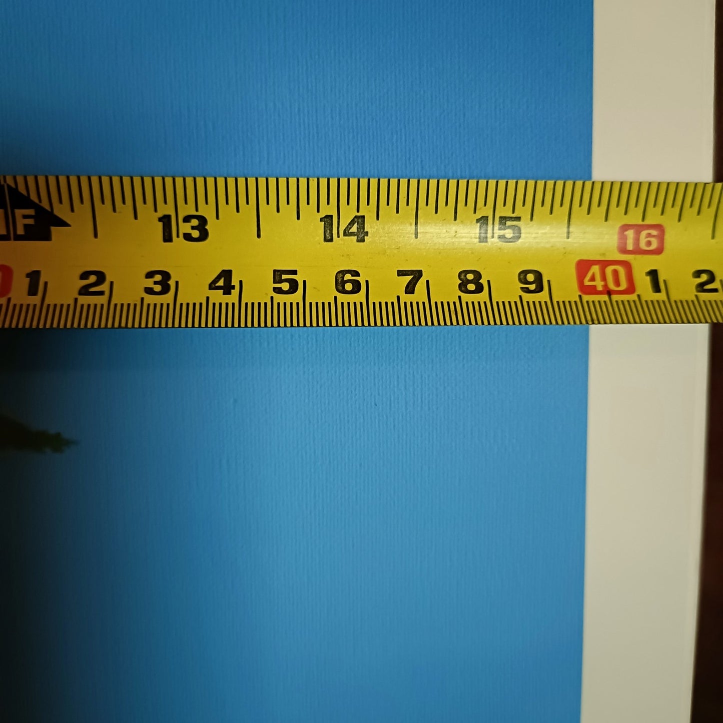 Signed Limited Edition Print "Giraffe"